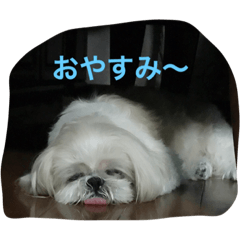 [LINEスタンプ] ラブリー リン