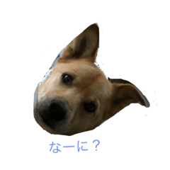 [LINEスタンプ] I am Kanbei！