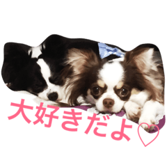 [LINEスタンプ] チワワ親子の日常