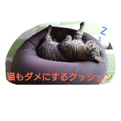 [LINEスタンプ] 心愛ちゃんの日常