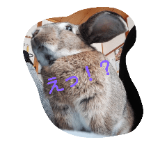 [LINEスタンプ] ちょたぺの日常2