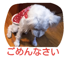 [LINEスタンプ] kevicharlo 2