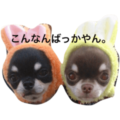 [LINEスタンプ] もずかぼスタイル 第1弾