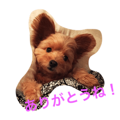 [LINEスタンプ] グリちゃまスタンプ2