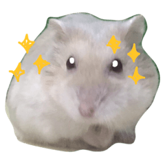 [LINEスタンプ] My little Dookdik