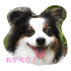 [LINEスタンプ] マイハニー1