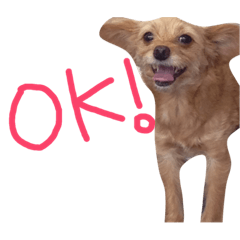 [LINEスタンプ] ぴざ＆ぱすた