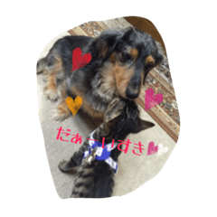 [LINEスタンプ] そら＆ぼく