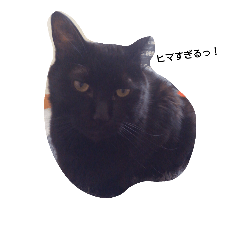 [LINEスタンプ] black. cat