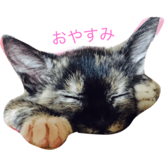 [LINEスタンプ] ショッパーとドキン