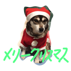 [LINEスタンプ] mery christmas