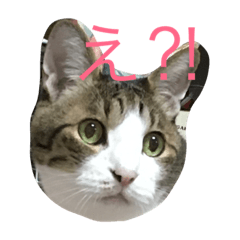 [LINEスタンプ] お茶目なミント