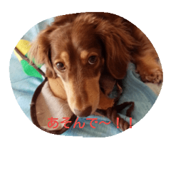 [LINEスタンプ] MYNAMEISlucky