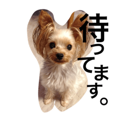 [LINEスタンプ] 愛犬リズムの気持ち。
