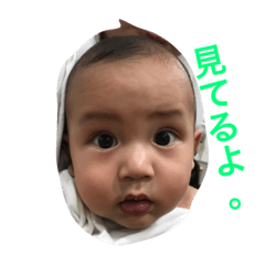 [LINEスタンプ] Mr.K ＆ Jr.K