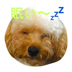 [LINEスタンプ] ハピラキ！
