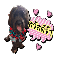[LINEスタンプ] Black Mortal Dog