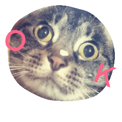 [LINEスタンプ] めいめいのすたんぷ