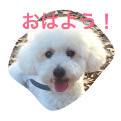 [LINEスタンプ] まる まる まる