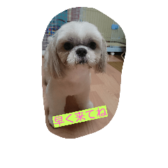 [LINEスタンプ] とこちゃんハウス