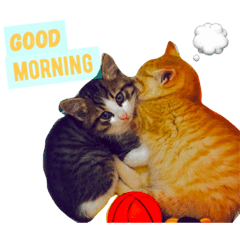 [LINEスタンプ] ちょこときなこ