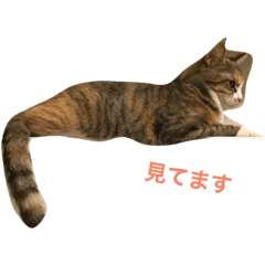 [LINEスタンプ] ココその2