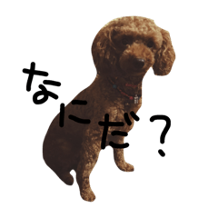 [LINEスタンプ] Bellee