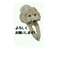 [LINEスタンプ] 仲良しのふたりをスタンプにしました。