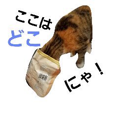 [LINEスタンプ] ゆる猫るるニャン