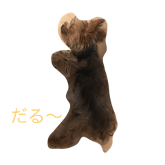 [LINEスタンプ] DOG   DOG