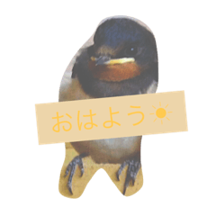 [LINEスタンプ] つばめたん