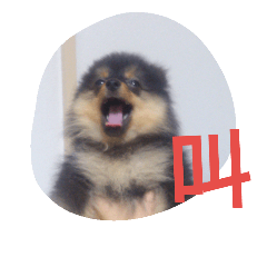 [LINEスタンプ] 西瓜丸02