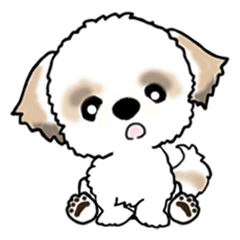 [LINEスタンプ] 【大きめ文字】シーズー犬の日常の画像（メイン）