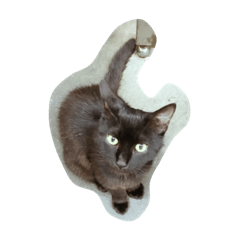 [LINEスタンプ] チビのすけ