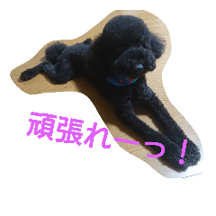 [LINEスタンプ] 犬こてつ2