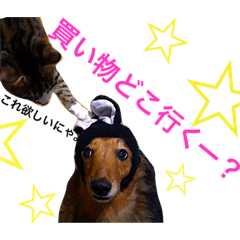 [LINEスタンプ] チョコダイアリー