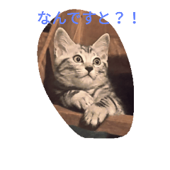 [LINEスタンプ] Shichimi family