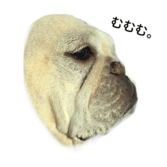 [LINEスタンプ] モモジスタンプ2