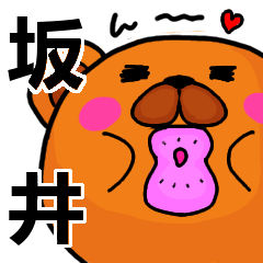 [LINEスタンプ] 坂井より愛を込めて（名前スタンプ）