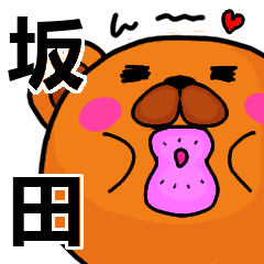 [LINEスタンプ] 坂田より愛を込めて（名前スタンプ）