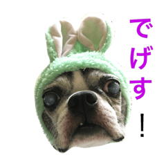 [LINEスタンプ] らんち姐さん