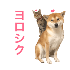 [LINEスタンプ] Mugi＆Halu