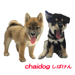 [LINEスタンプ] doublexchai-dog