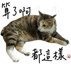 [LINEスタンプ] Fei Fei Meow 2