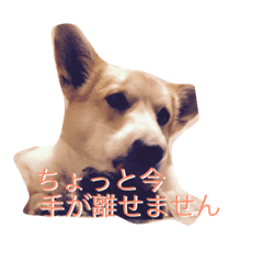 [LINEスタンプ] RITURITU