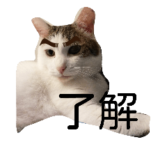 [LINEスタンプ] オペラとモカ