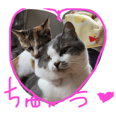 [LINEスタンプ] かぞく。