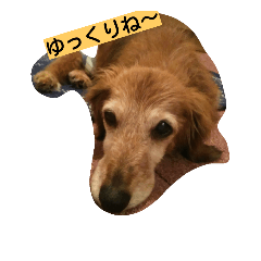 [LINEスタンプ] qoo2