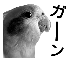 [LINEスタンプ] インコのきもち