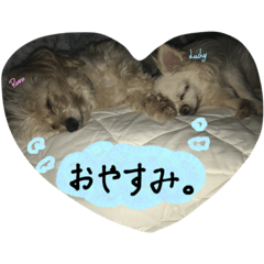 [LINEスタンプ] とってもとっても可愛いペット